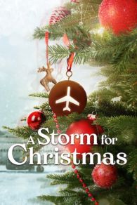 VER A Storm for Christmas Online Gratis HD