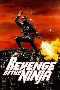 VER La venganza del Ninja Online Gratis HD