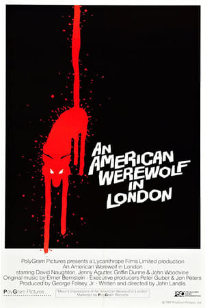 VER Un hombre lobo americano en Londres (1981) Online Gratis HD