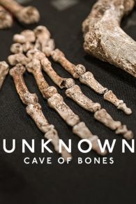 VER Unknown: Cave of Bones Online Gratis HD